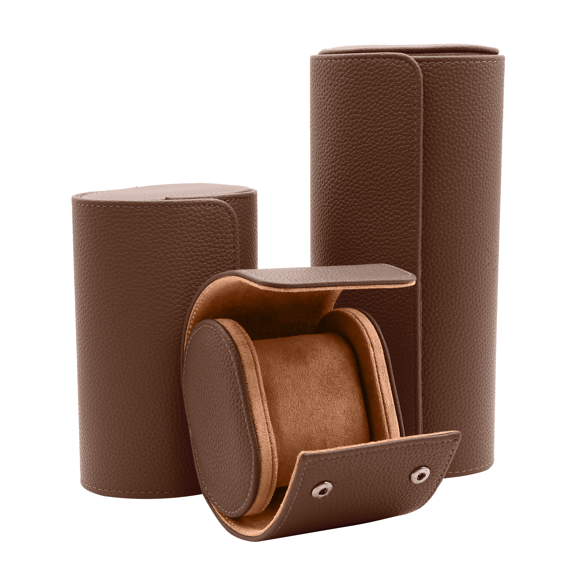 BROWN WATCH TRAVEL CASE