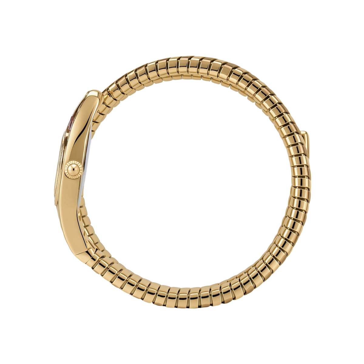MEDUSA DOUBLE SPIRAL WATCH