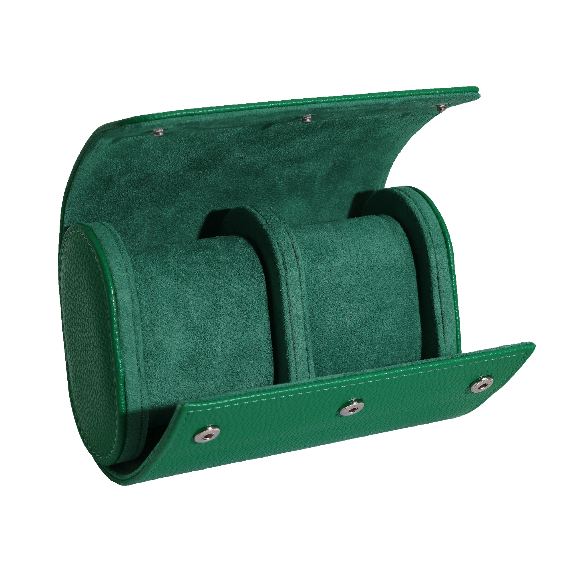 GREEN WATCH TRAVEL CASE