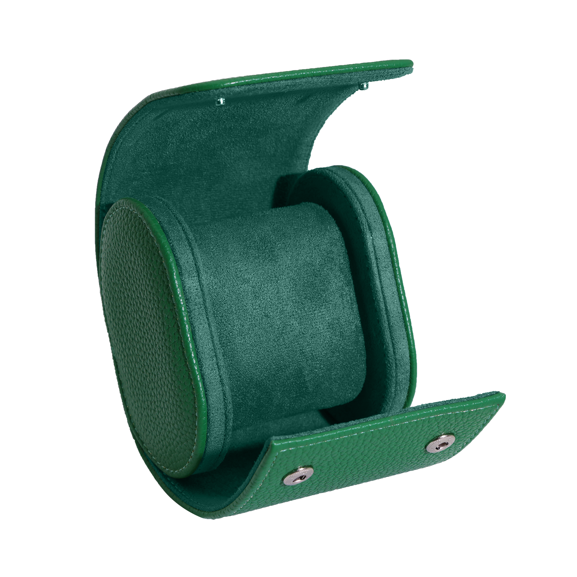 GREEN WATCH TRAVEL CASE