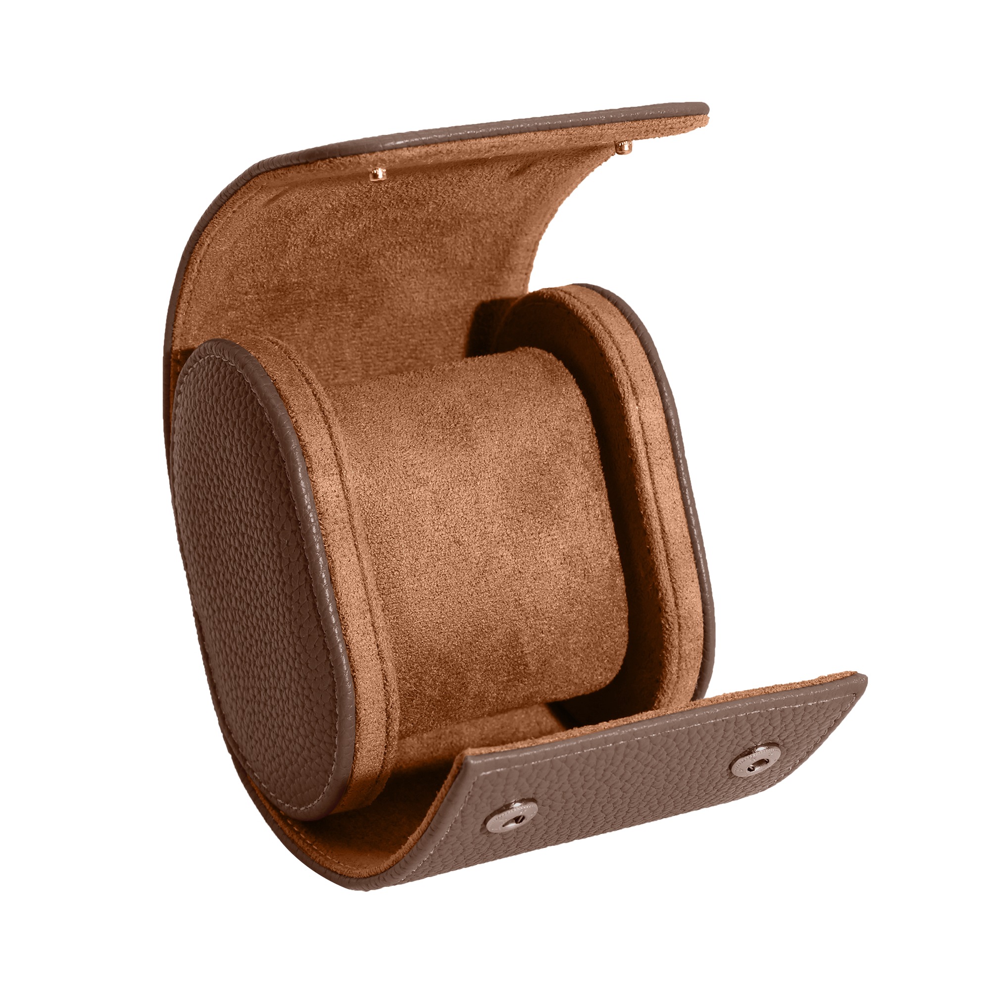 BROWN WATCH TRAVEL CASE
