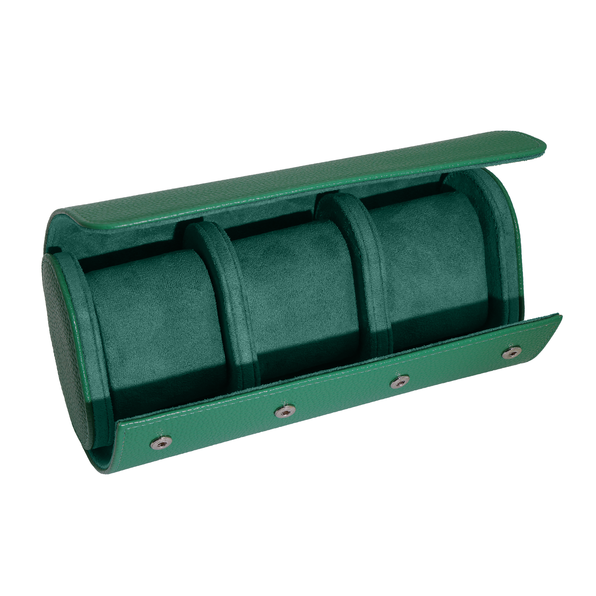 GREEN WATCH TRAVEL CASE